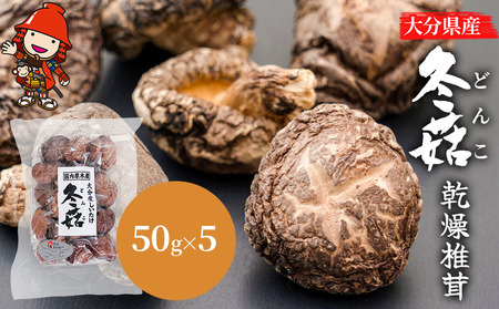 大分県産 どんこ 乾燥椎茸 50g×6