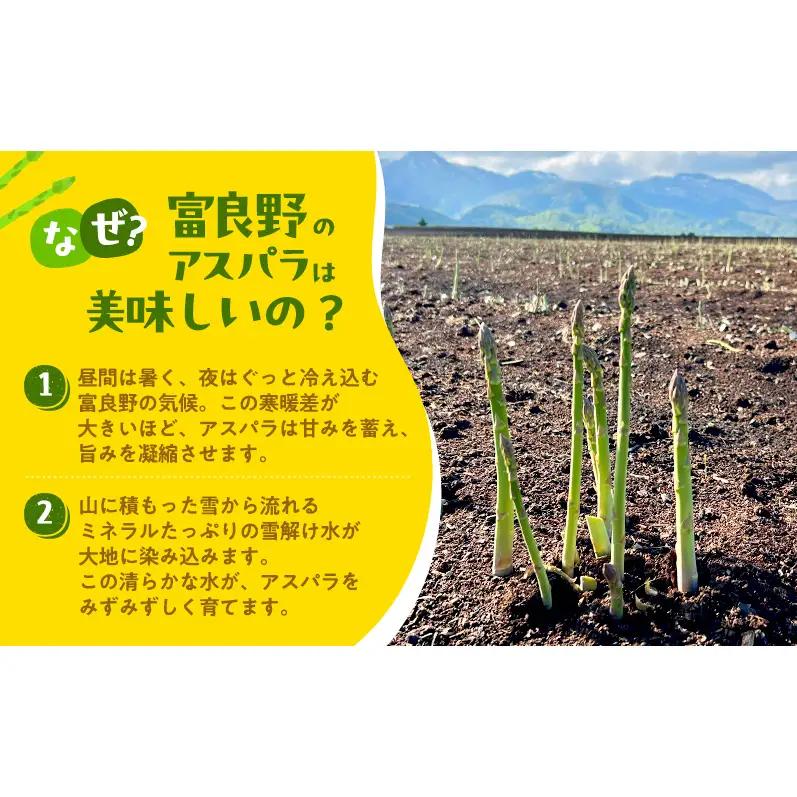 【2027年発送】ふらの産 採れたて グリーンアスパラ(M～Lサイズ混合)約1.5kg [清水農園] アスパラ アスパラガス 野菜 新鮮 甘い 北海道 富良野