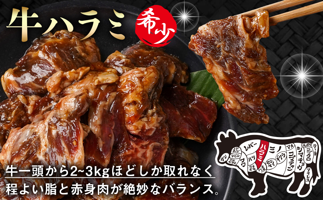 牛ハラミ タレ漬け1.2kg≪みやこんじょ特急便≫〔33-024-1200g-Q〕