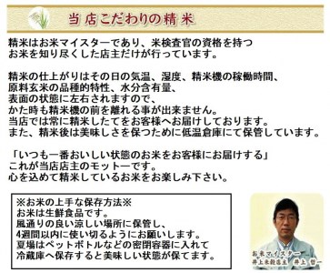 【令和6年産新米予約】5ヶ月定期便 ミネラル栽培こしひかり 5kg×5回 計25kg 白米 精米 井上米穀店 10月上旬より順次発送予定 1I02040