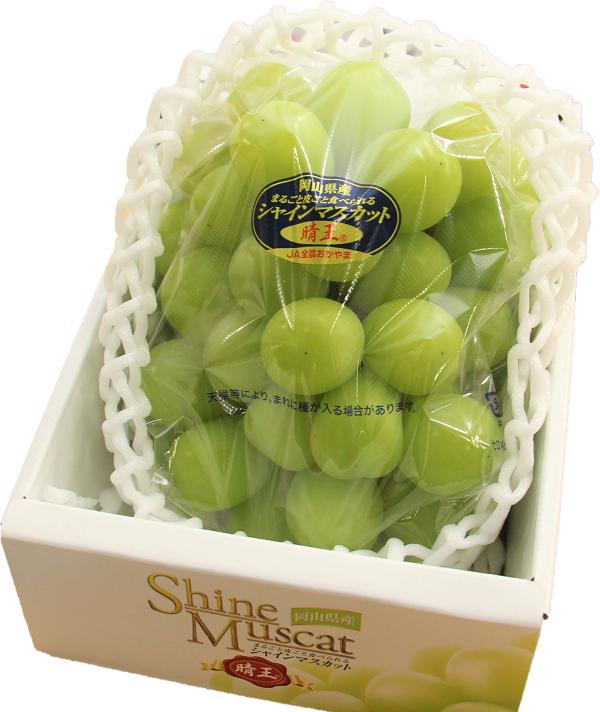 写真はイメージです。