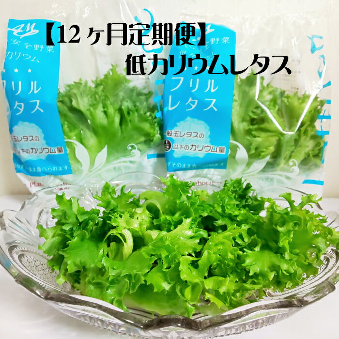 【ふるさと納税】【定期便】低カリウムレタス（毎月12ヶ月お届け）　【07208-0093】