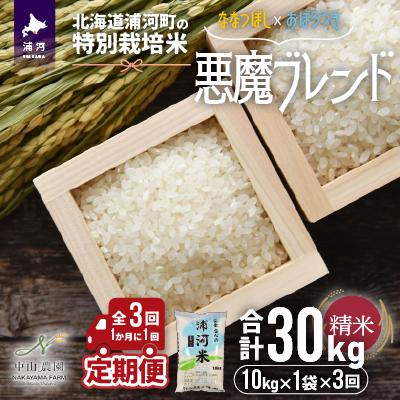 ふるさと納税 浦河町 北海道浦河町の特別栽培米「悪魔ブレンド」精米(10kg×1袋)定期便(全3回)[37-1222] | 