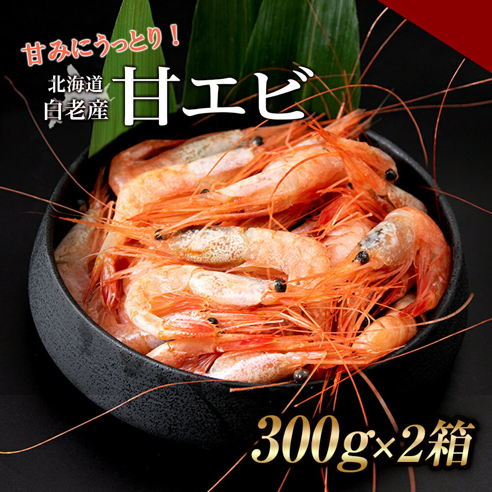 【ふるさと納税】甘みにうっとり！冷凍甘エビ（300g×2箱） 選べる発送月えび エビ 甘エビ 甘海老 甘えび 北海道ふるさと納税 白老 ふるさと納税 北海道