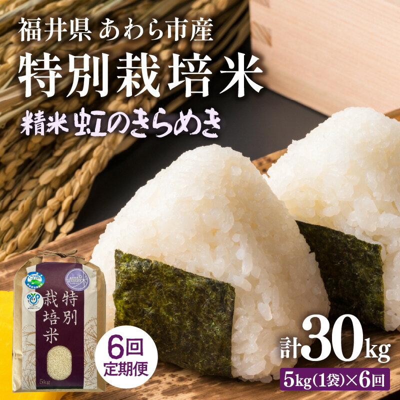 【ふるさと納税】【先行予約】【令和8年産】定期便 ≪6ヶ月連続お届け≫ 化学肥料不使用 特別栽培米 虹のきらめき 精米 5kg × 6回（計30kg） / 白米 米 福井県あわら市産 美味しい 特別栽培米 減農薬 安心な米 旨味 甘み もっちり 冷蔵保管米 ※2026年10月上旬以降発送予定