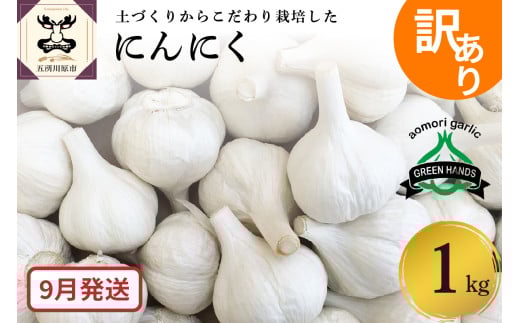 【先行受付】【9月発送】 訳あり 青森県産にんにく1kg 五所川原にんにく