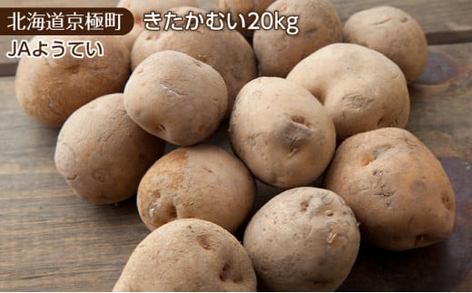 
北海道ようてい産 じゃがいも20kg（きたかむい）［JAようてい］【 野菜 じゃがいも キタカムイ 20kg 料理 】
