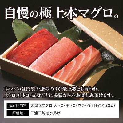 ふるさと納税 三浦市 三崎マグロ　鈴木水産　天然本マグロ(大トロ・中トロ・赤身)セット |  | 02