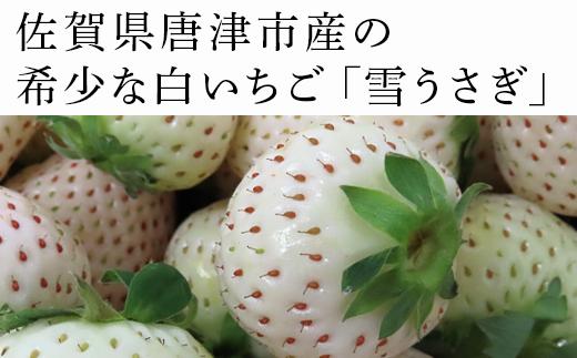 『予約受付』【令和7年2月中旬発送】唐津産 白いちご「雪うさぎ 」苺 イチゴ 希少 果物 フルーツ 脇山農園