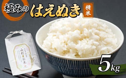 【先行予約】 令和7年産 極みのはえぬき5kg 米 お米 おこめ ふるさと納税 山形県 新庄市 F3S-2395