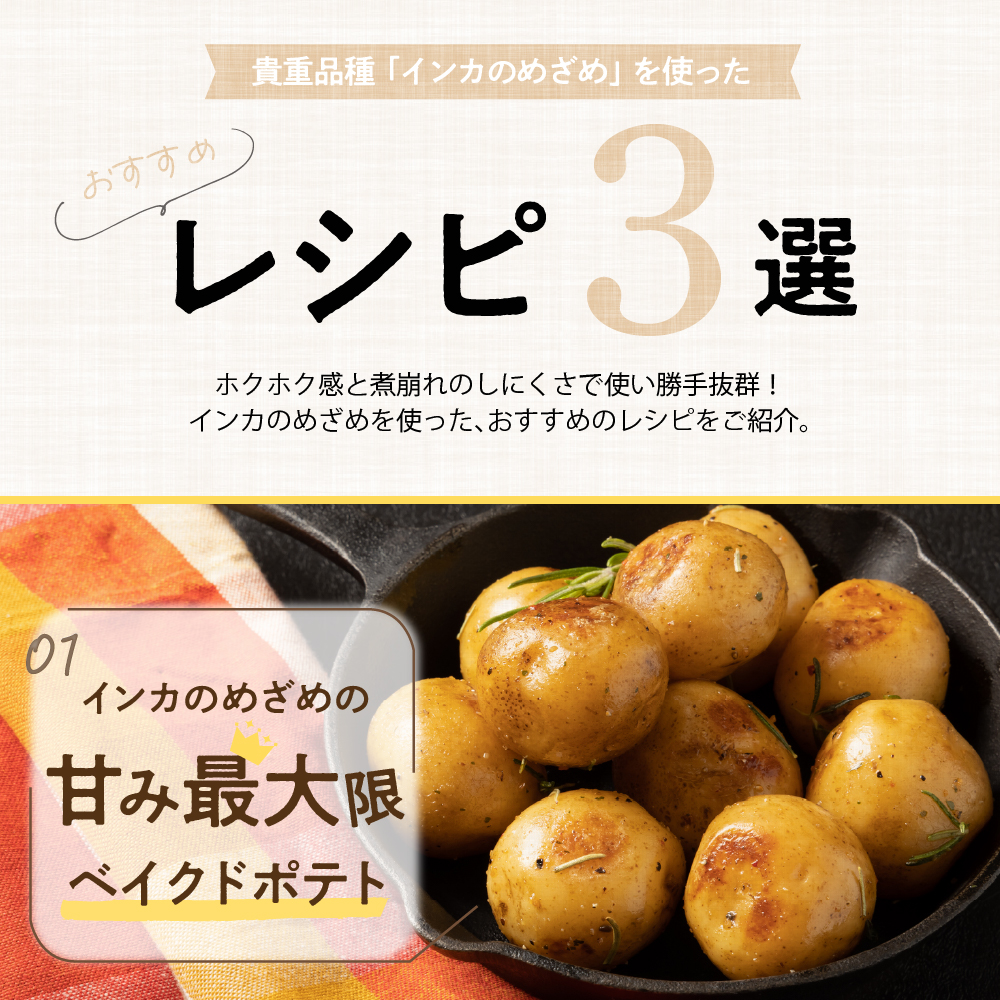 【先行受付】北海道十勝芽室町 貴重品種 インカのめざめ 5kg meb002-007-26 / 【2026年9月下旬より配送予定】じゃがいも 野菜 先行受付 芋 ジャガイモ インカ 産地直送 数量限定