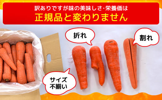 春にんじん 訳あり 有機JAS認証 特別栽培にんじん 20kg　SMF003