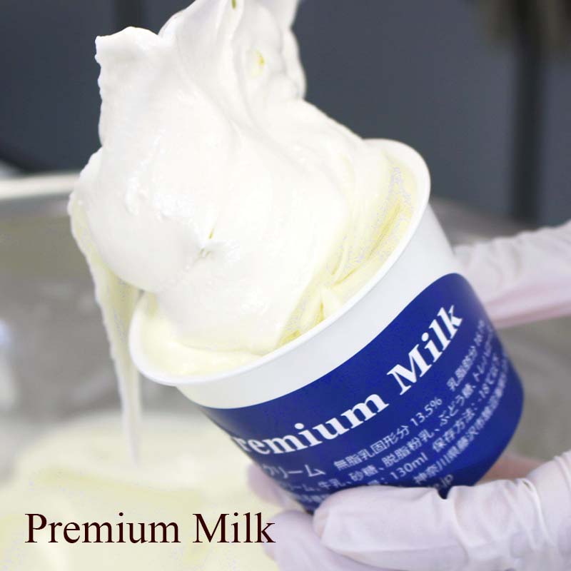 アイス Hilo Homemade Ice Cream プレミアムアイスクリーム 6個 セット スイーツ おやつ デザート 手作り ギフト 贈答 お取り寄せ 冷凍 神奈川 藤沢