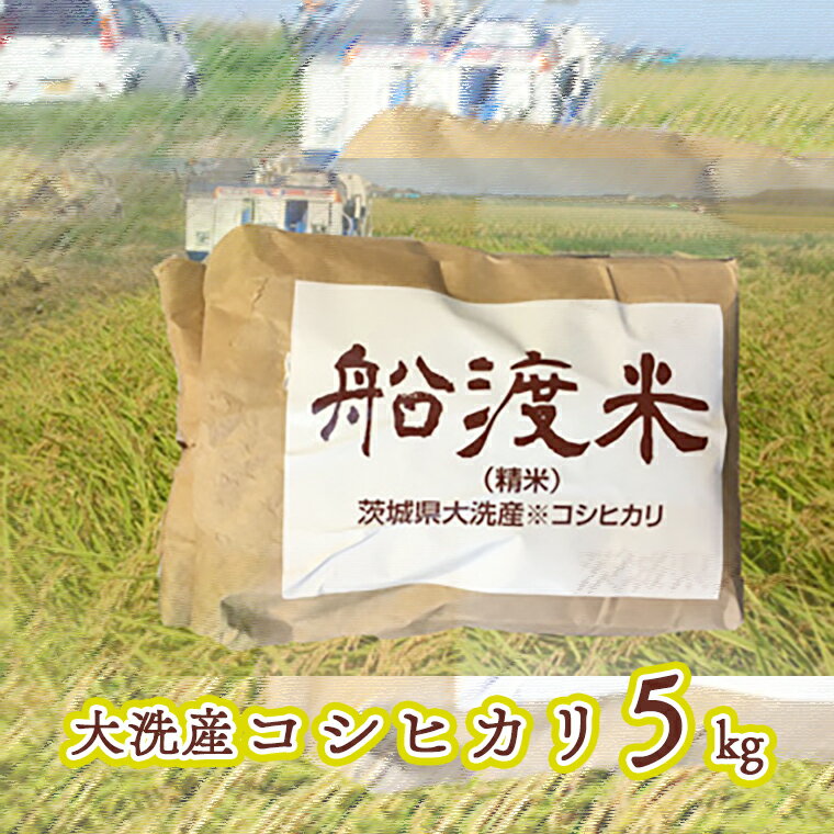 【ふるさと納税】 令和6年産 米 コシヒカリ 5kg 舟渡米 茨城 大洗 国産 白米 精米
