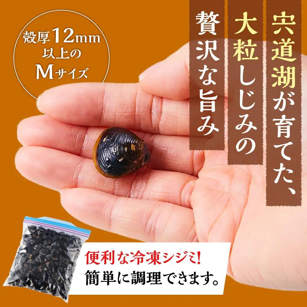 漁師直送！宍道湖産 ヤマトシジミ・Mサイズ 冷凍 3kg）| しじみ