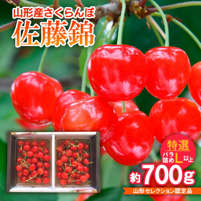 【ふるさと納税】さくらんぼ 佐藤錦 特選バラ詰め L以上 約700g山形セレクション認定品 【令和8年産先行予約】FS25-717 くだもの 果物 フルーツ 山形 山形県 山形市 お取り寄せ 2026年産