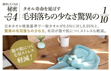 （今治タオルブランド認定品）ASiTA BALANCE シリーズ バスタオル１枚 ミント【I002180BT1MT】