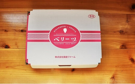 0B3-08 【先行予約】大分県ブランドいちご「ベリーツ」大粒（280g×2パック）