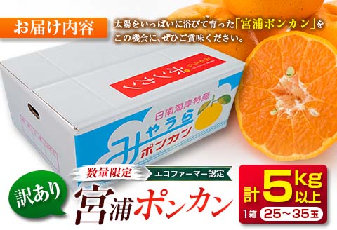 先行予約 訳あり 数量限定 宮浦 ポンカン 計5kg以上 フルーツ 果物 くだもの 柑橘 みかん 国産 食品 期間限定 訳アリ おすすめ デザート おやつ フルーツサンド ジュース ご家庭用 ご自宅用