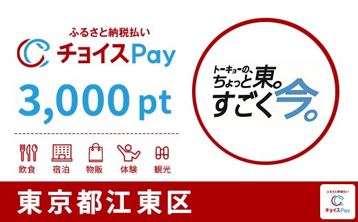
                  江東区チョイスPay 3,000pt【会員限定のお礼の品】
                
