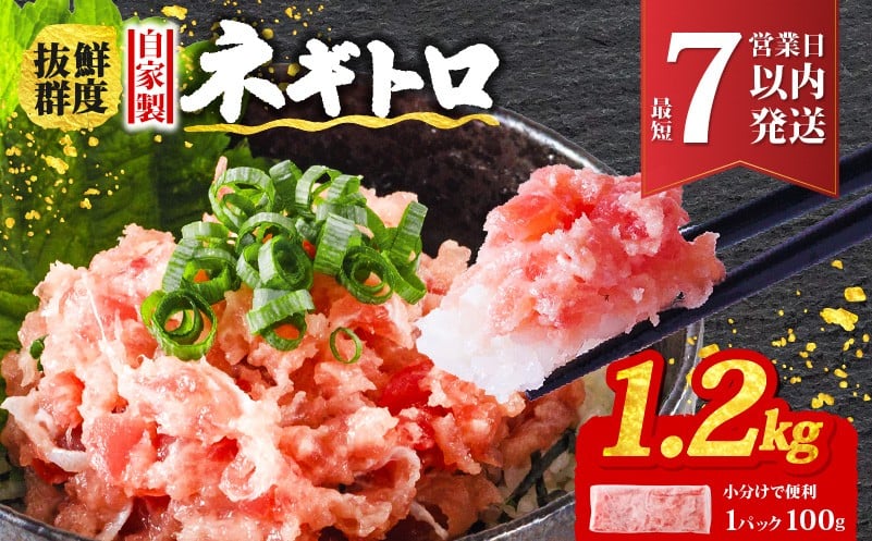 
            【選べる発送月】ネギトロ 1.2kg ( 100g×12パック )  | まぐろ 鮪 ネギトロ ねぎとろ まぐろたたき まぐろのたたき マグロたたき ネギとろ ねぎトロ maguro 愛媛県 松山市
          