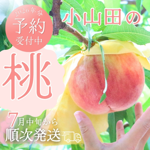 ＜2026年7月中旬頃から順次発送＞小山田の桃（9～12個）※発送前の注意事項を十分ご確認ください※