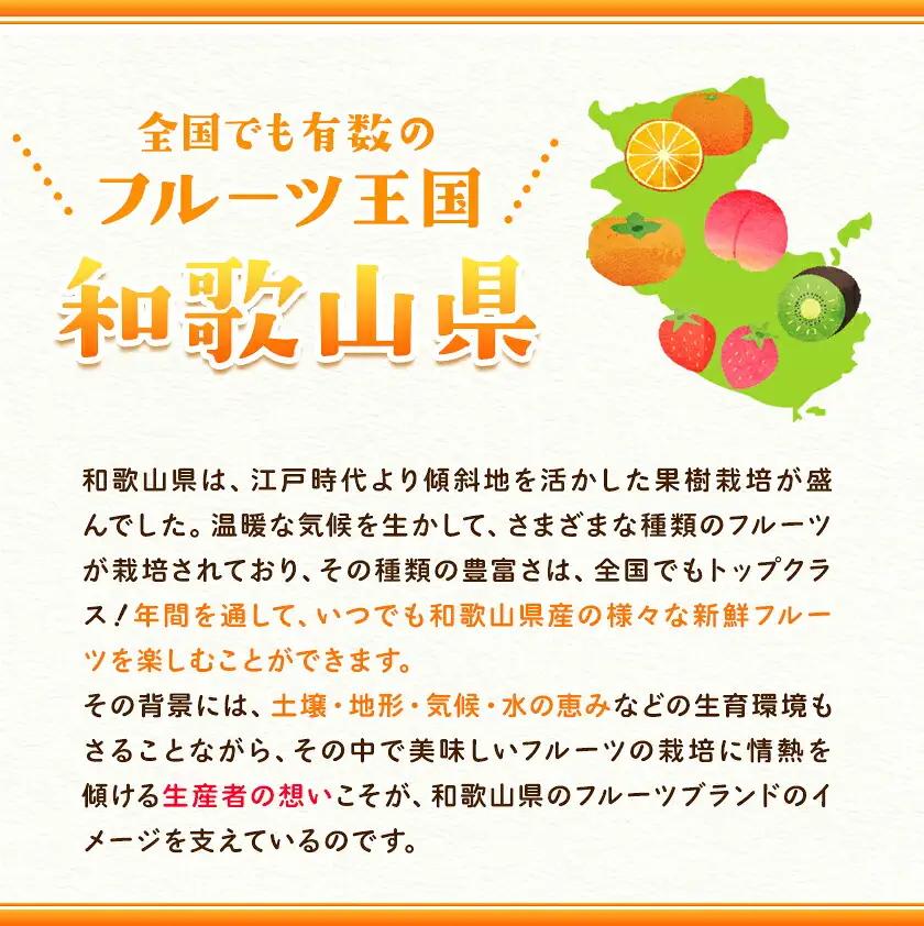 柿 たねなし柿 約4kg