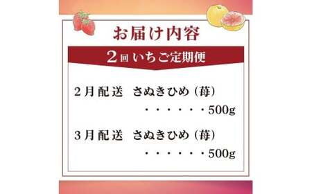 いちごの定期便 2回 Mコース フルーツ 定期便 いちご