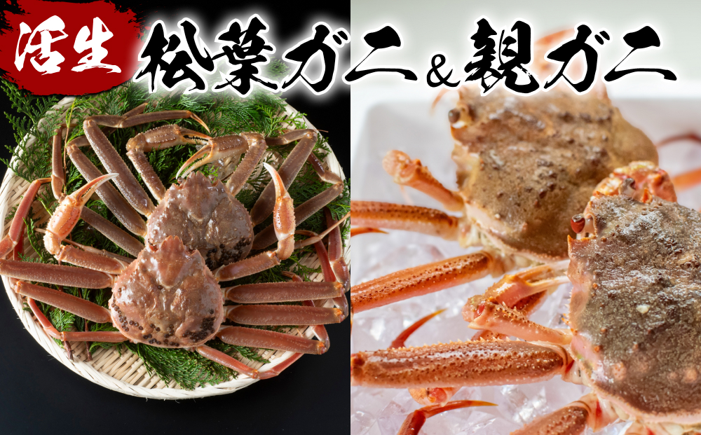 【22013】鳥取県網代産　訳あり松葉がに　親がに　夫婦セット（生）