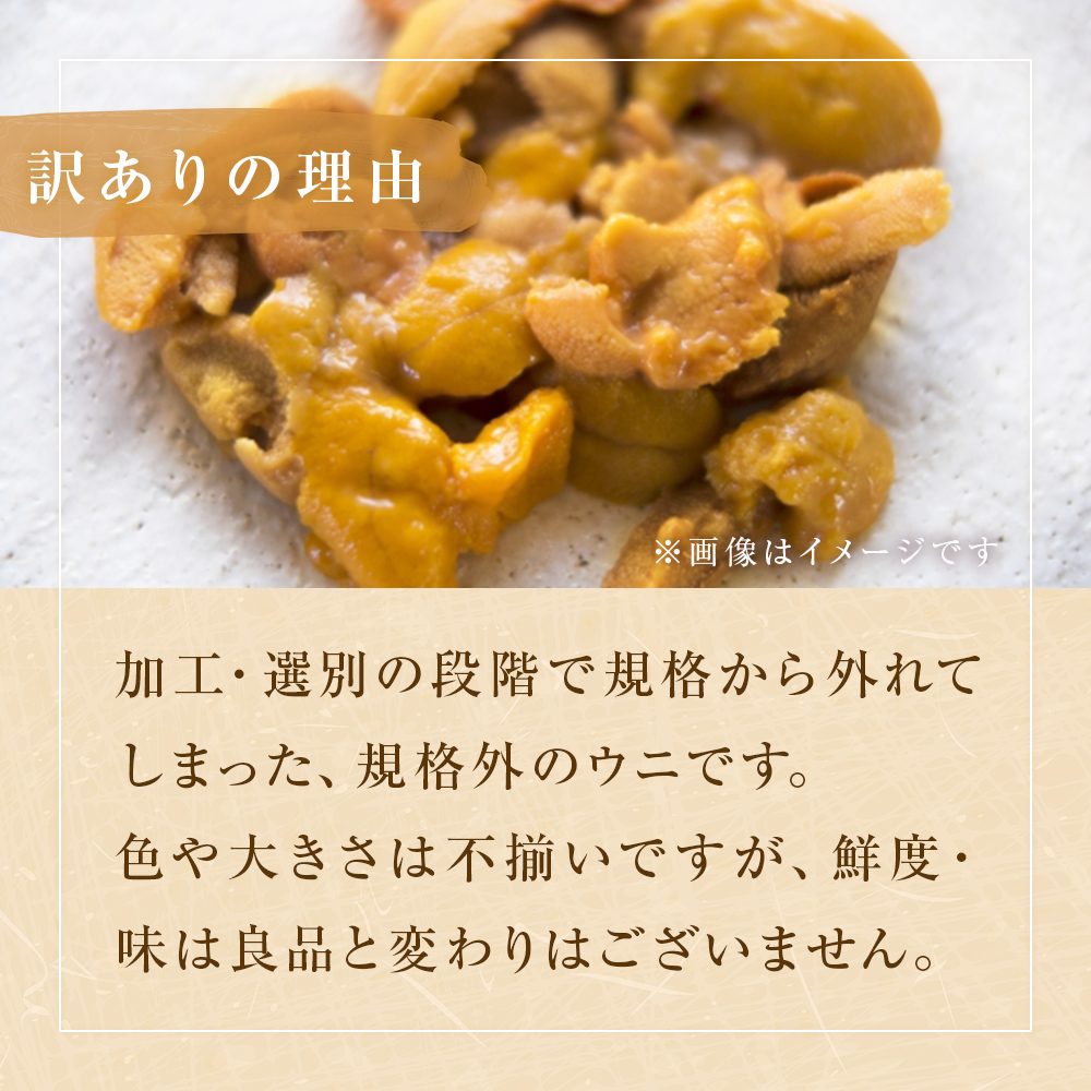  〈先行予約〉生うに ウニ 訳あり 塩水生うに 宮城県産  160g