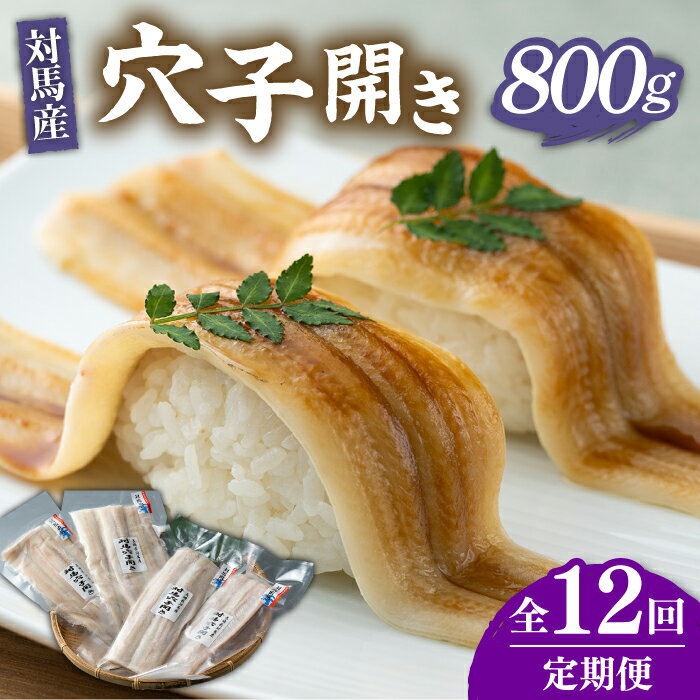 【ふるさと納税】【全12回定期便】対馬 アナゴ 穴子 開き 800g《対馬市》【海風商事】あなご 国産 九州 長崎 海産物 魚 [WAD031] 207000 207000円