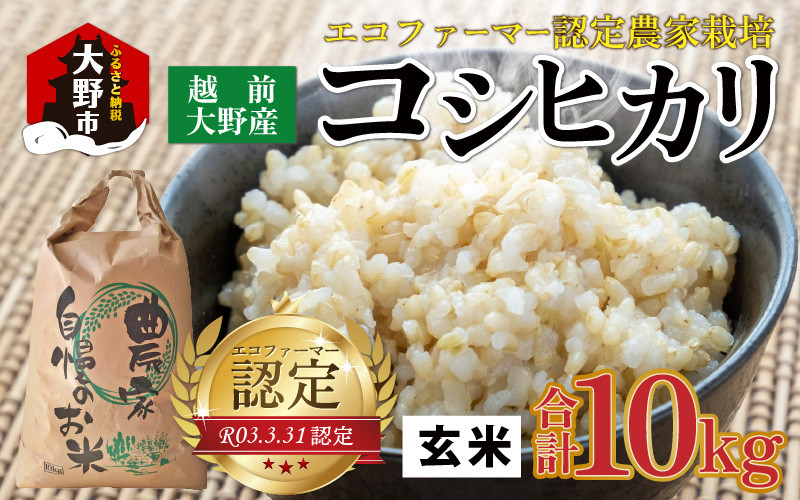 
            【先行予約】【令和7年産 新米】越前大野産 エコファーマー認定農家栽培 コシヒカリ10kg（玄米）【2026年1月より順次お届け】
          