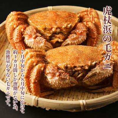 ふるさと納税 白老町 前浜産!毛ガニ　2杯(約900g) |  | 01