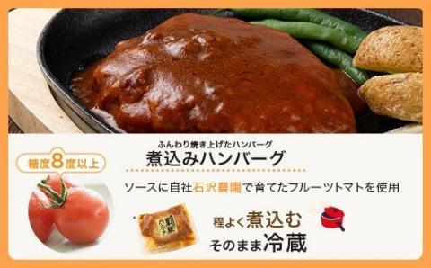 【3ｶ月定期便】鹿児島県産黒豚煮込みハンバーグ･黒豚味噌ステーキ 計4ﾊﾟｯｸ_ss0156