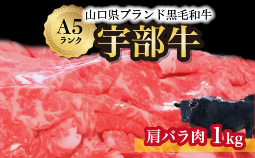 
【山口宇部牛】黒毛和牛Ａ５ランク宇部牛肩バラ肉＜１ｋｇ＞【山口県 宇部市 牛 牛肉 黒毛 和牛 A5ランク ブランド 山口県唯一 地元発ブランド牛 希少 まちのお肉屋さん ストレスフリー オレイン酸60％以上 脂まで柔らかい おいしい 旨味 リピート】
