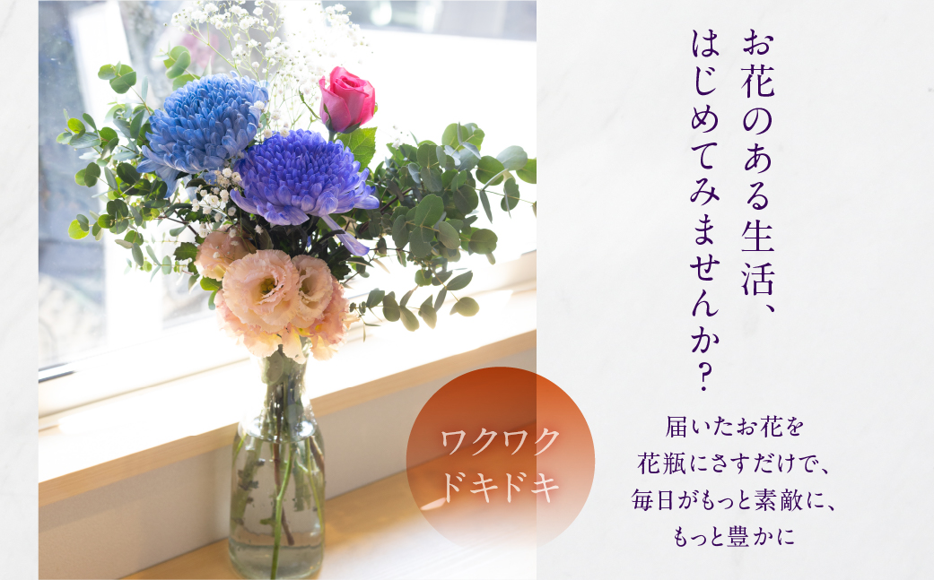 【定期便6回】お花屋さんのタハナBOX 定期便6回 定期便も選べる 定期便 3回 6回 12回 フラワーアレンジメント 花 お花 花束 ブーケ 季節 ギフト お祝い 誕生日 記念日 ギフト プレゼント