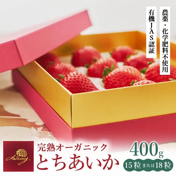 完熟 いちご 400g | いちご ※2026年12月～発送