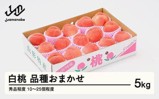 【先行予約】もも 桃 品種おまかせ 白桃 秀品程度 約5kg(10~25個程度)  2026年産 山形県産 ※沖縄・離島への配送不可 tf-moyws5