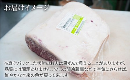 【訳あり】【月1回約2kg×12回定期便】長崎和牛 サーロインブロック 計24kg＜大西海ファーム＞ [CEK116]