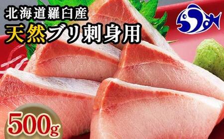 北海道 知床羅臼産 天然ぶり刺身 500g (250g×2パック) 魚 海産物 魚介 魚介類 ブリ 鰤 刺身 ご飯のお供 冷凍 生産者 支援 応援