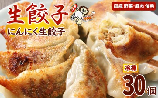 冷凍餃子 にんにく生餃子 30個入【生餃子専門店】/ 餃子 ギョーザ 惣菜 おかず