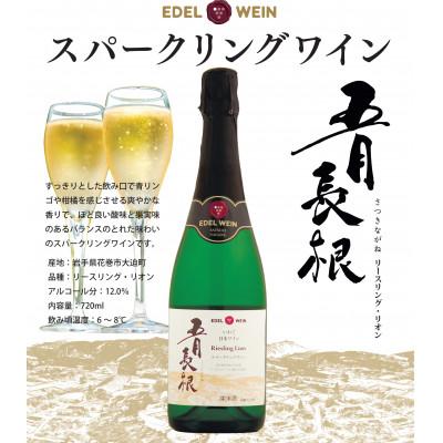 ふるさと納税 花巻市 スパークリングワイン(白・ロゼ)各1本　計2本セット |  | 02