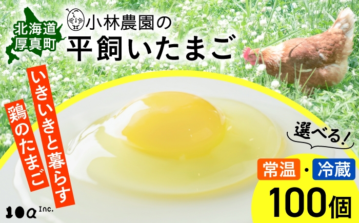 
                  小林農園の平飼いたまご・無投薬 100個《厚真町》【テンアール株式会社】 有精卵 卵 鶏卵 玉子 生卵 平飼い 北海道 [AXAN035]
                