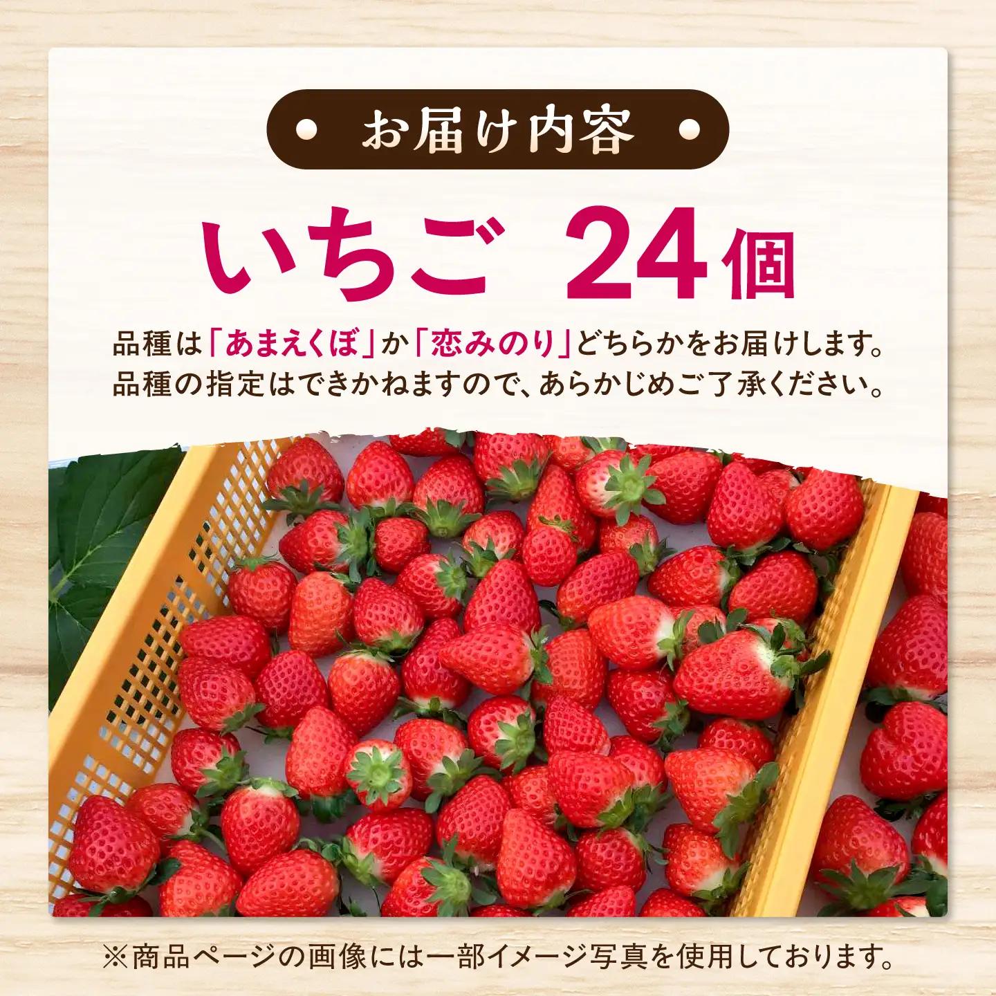 【先行予約】【2027年1月下旬発送開始】いちご 24個(500g程度) / (あまえくぼ or 恋みのり) 苺 ストロベリー フルーツ 果物 くだもの 青果【有限会社 高司農園】[AYDO001]