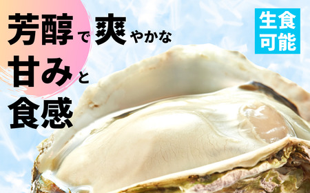 現在順次発送中！【生のいわがきLサイズ6個】 岩牡蠣 生牡蠣 牡蠣 いわがき春香 生食可 旬の時期だけ