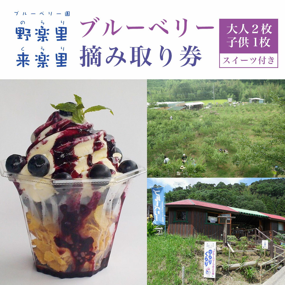 【ふるさと納税】 ブルーベリー園のらりくらり摘み取り券（大人2枚・子供1枚）スイーツ（1名様分）ふるさと納税 ブルーベリー 摘み取り体験 体験 木更津 千葉県 送料無料 KCA005