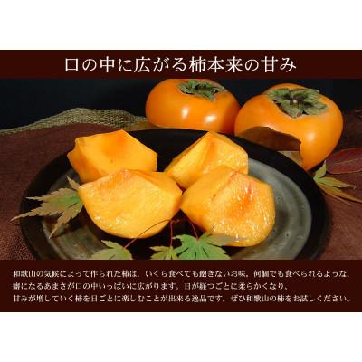 ふるさと納税 日高町 種なし柿 【秀品:サイズ・品種おまかせ】かき 約7.5kg / 紀伊国屋文左衛門本舗 |  | 02