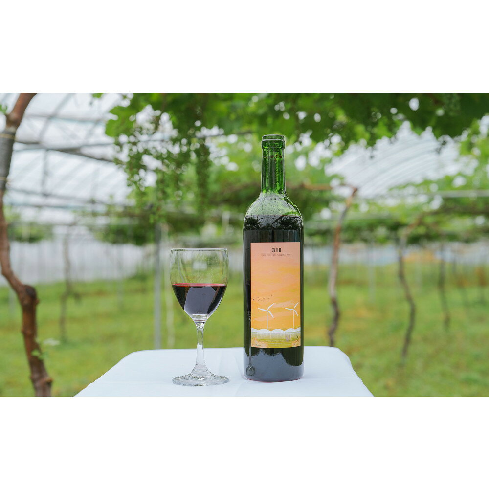 【ふるさと納税】310農園・日本ワイン（小公子/赤ワイン）750ml | ワイン 赤ワイン 酒 お酒 さけ 赤ワイン750ml 750ml