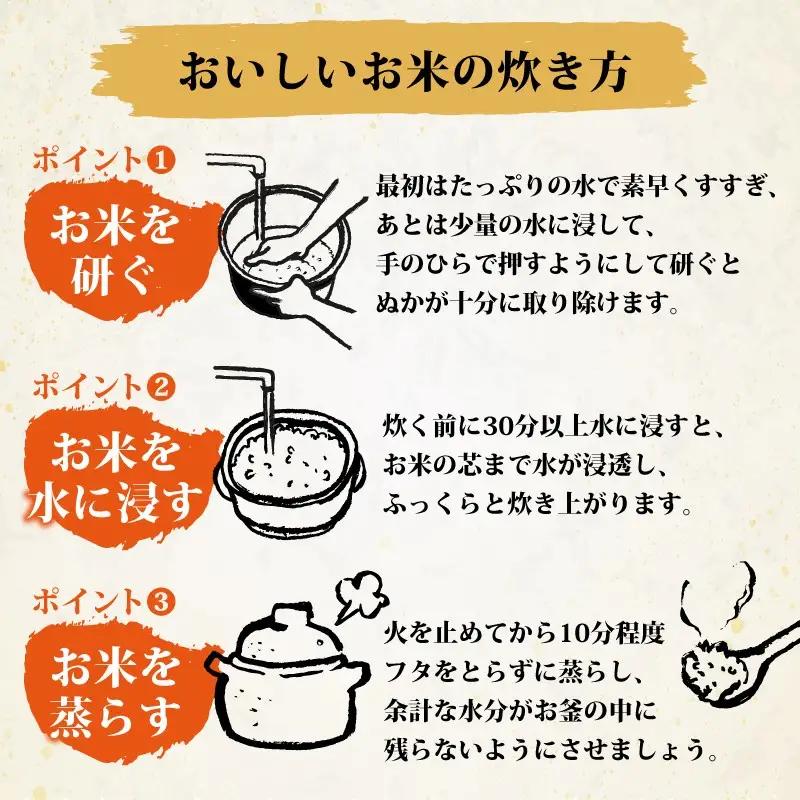 米 5kg 精米 彩のきずな 米