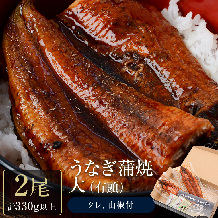 【A57002 】うなぎ蒲焼・大(有頭)(2尾・計330g以上、タレ、山椒付)